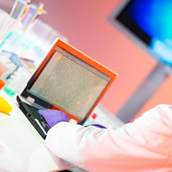 blog website seo service - Rozefsmarketing.com