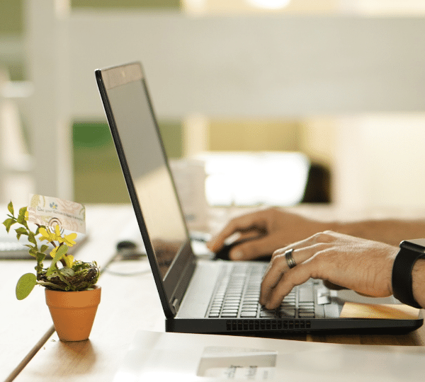 seo optimized content writing principles & guideline -